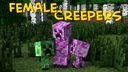 Female Creepers