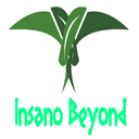 Insano Beyond