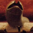 The world of Arrakis