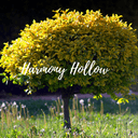 Harmony Hollow Season 3