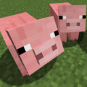 Piggies