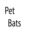 Pet Bats