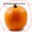 pumpkins dont blurr