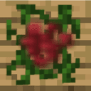 Special Berries Mod