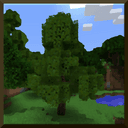 Dynamic Trees Compatibility for Climatic Biomes