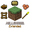 Millu00e9naire Extended: Indians