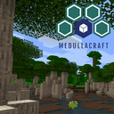 Medullacraft