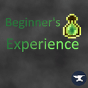 Beginner's Experience