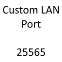 Custom LAN Port (Forge)