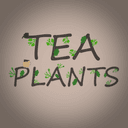 Tea Plants