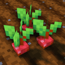 Crops 3D