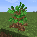 Improved saplings