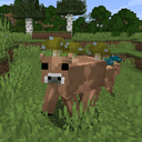 Mooshroomcraft