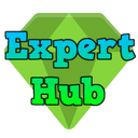 ExpertHub