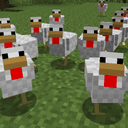 Aggressive Chickens