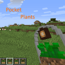 Pocket Plants