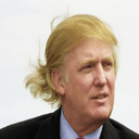 Trump Hair