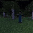 Herobrine Sightings