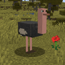 Simple Ostriches