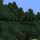 RealCraft-V1