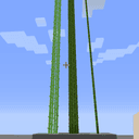 TallTallCane