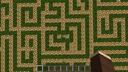 Death Maze