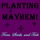 Planting Mayhem: Trees, Seeds and Tech