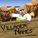 Villager Names (Fabric)