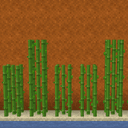 Three Dimensional Sugar Cane