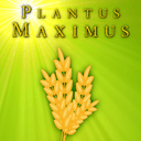 PlantusMaximus