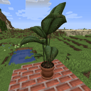 CSS Potted Plant