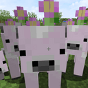 Strawbloom cows