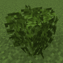 Better Leaves Bush [ slightly rounded and not bulky ]