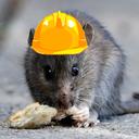 Engineering Rats