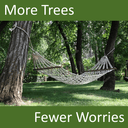 More Trees Fewer Worries (MTFW)