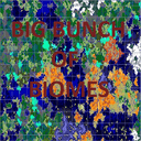 big bunch of biomes