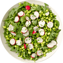 Spring Salad