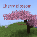 Cherry Blossom