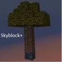 SkyblockPlus