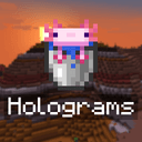 Server Holograms