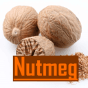 Nutmeg - Casual Pack