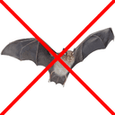 No Bat