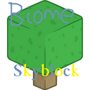 Biome Skyblock