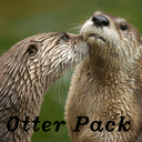 Otter Pack