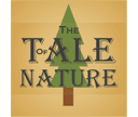 The Tale Of Nature