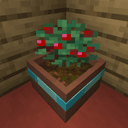 Botany Pots Tiers