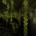 Lush cave Panorama