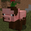 Muddy Pig