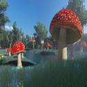 Mushroom Kingdom