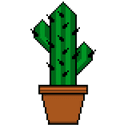 Cacti (Categorical Creative Inventory)